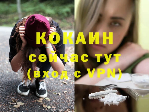 спиды Волосово